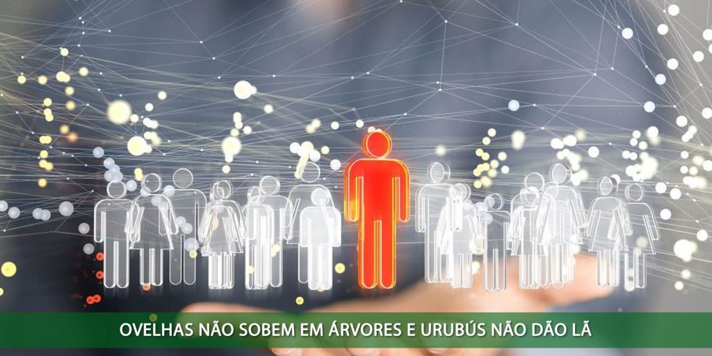 Ovelhas e urubús