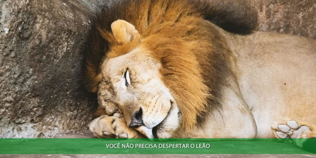 Você não precisa despertar o leão do imposto de renda