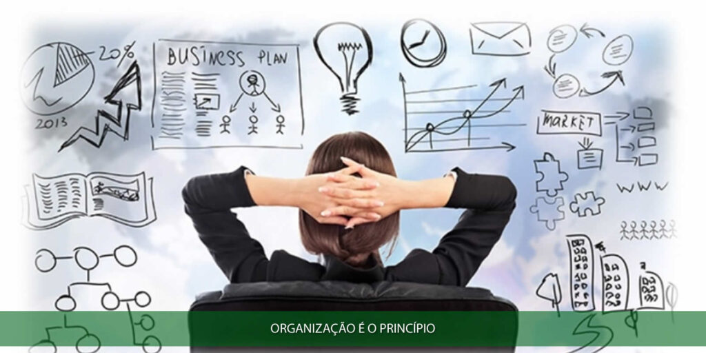 Organização é o princípio