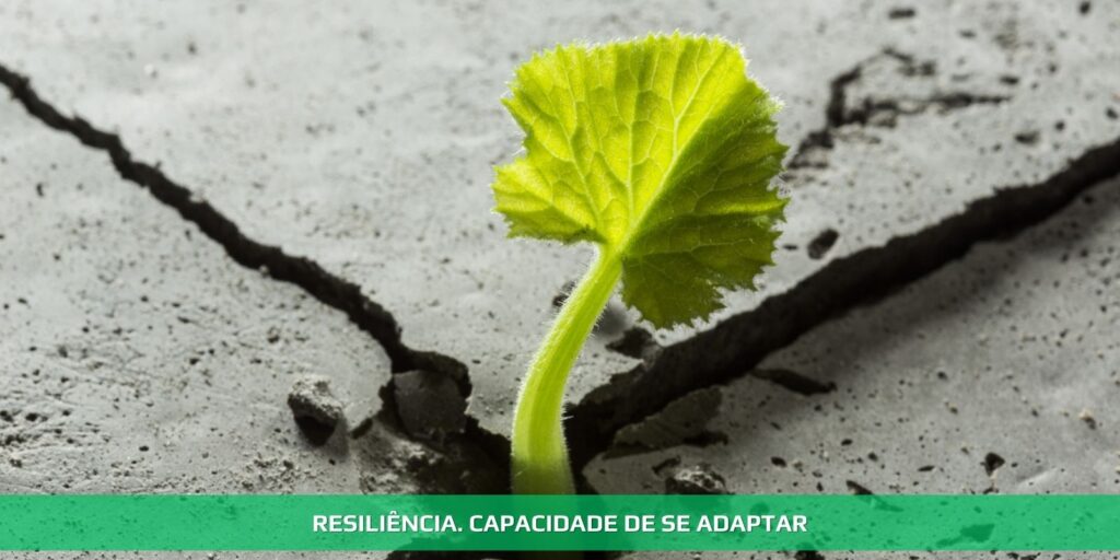 Resiliência. Capacidade de se adaptar