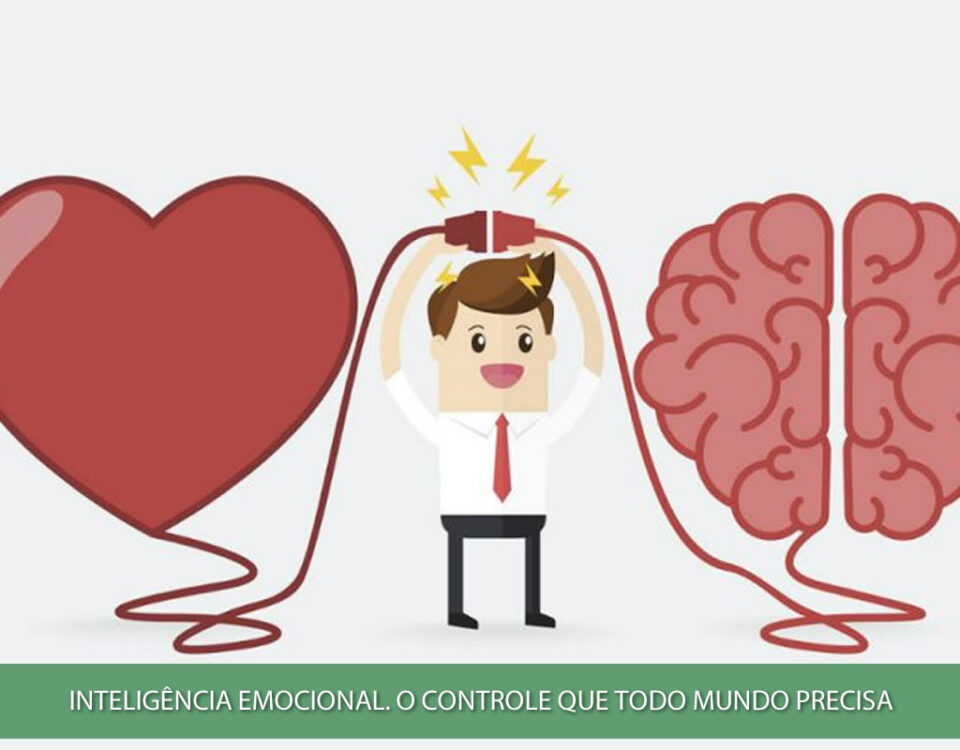 Inteligência emocional. O controle que todo mundo precisa