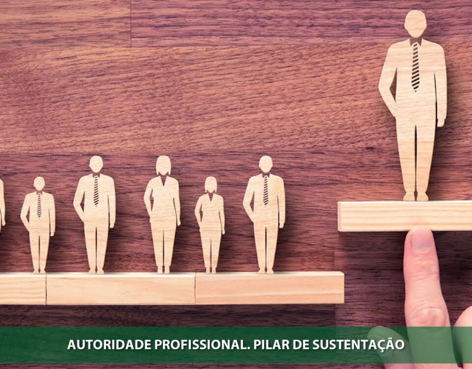 Autoridade profissional. Pilar de sustentação