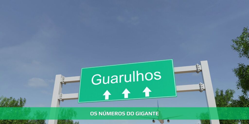 Os números do gigante