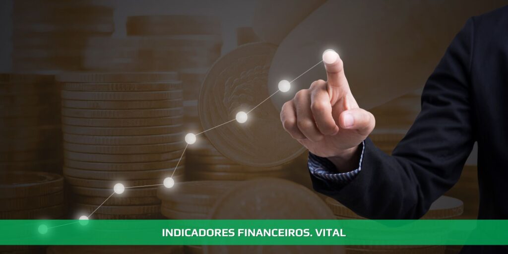 Indicadores financeiros. Vital