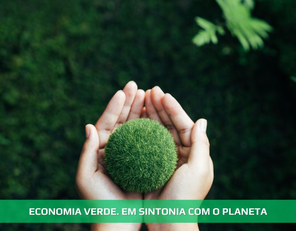 Economia verde. Em sintonia com o planeta