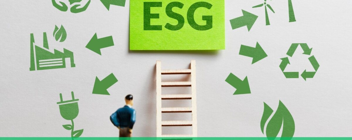 Contabilidade sustentável. O controle sobre o ESG