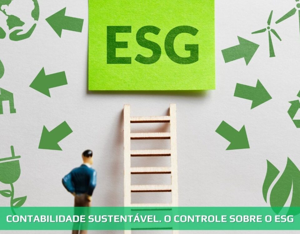 Contabilidade sustentável. O controle sobre o ESG