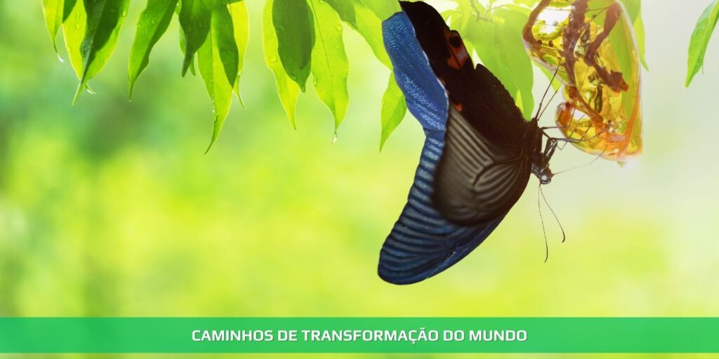 Caminhos de transformação do mundo