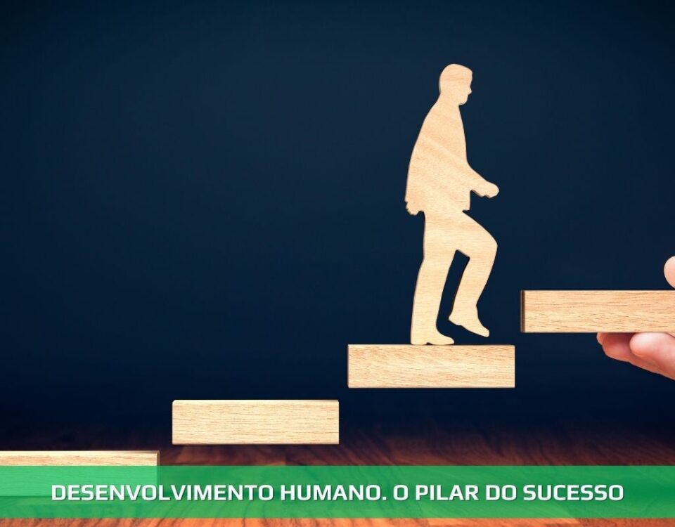 Desenvolvimento humano. O pilar do sucesso
