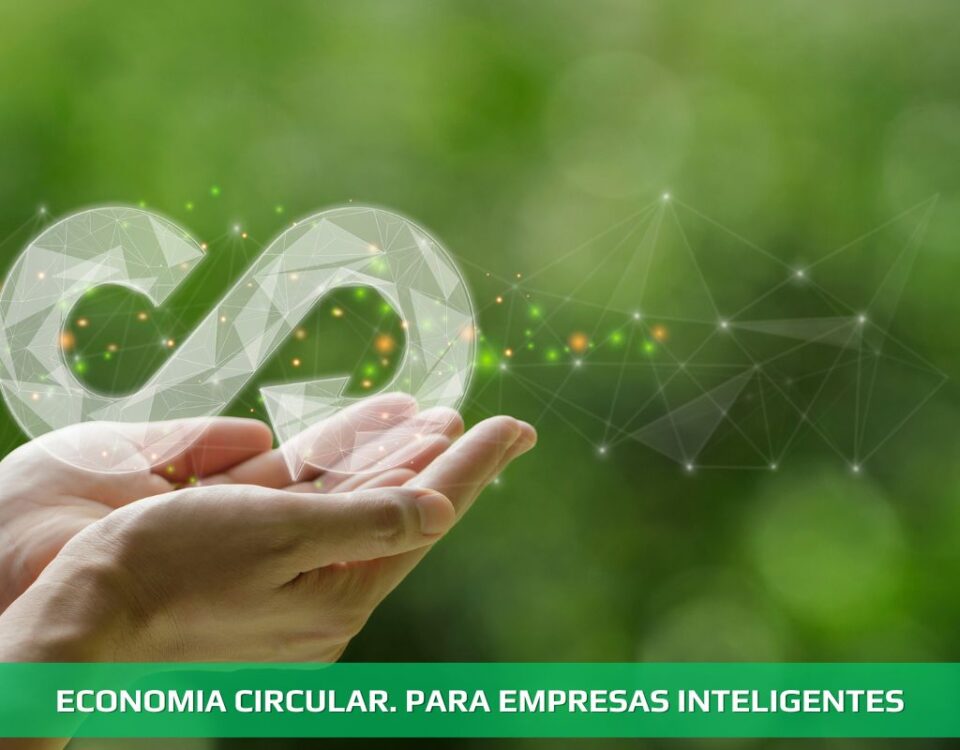 Economia circular. Para empresas inteligentes