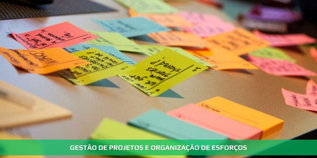 Gestão de projetos e organização de esforços