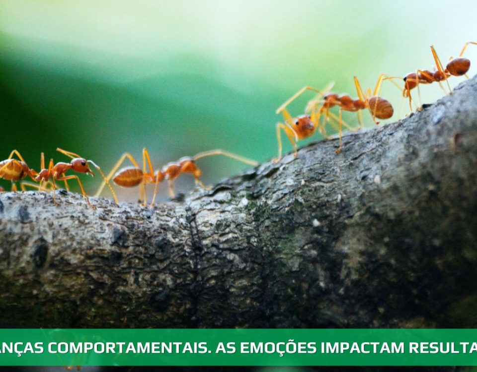 Finanças comportamentais. As emoções impactam resultados