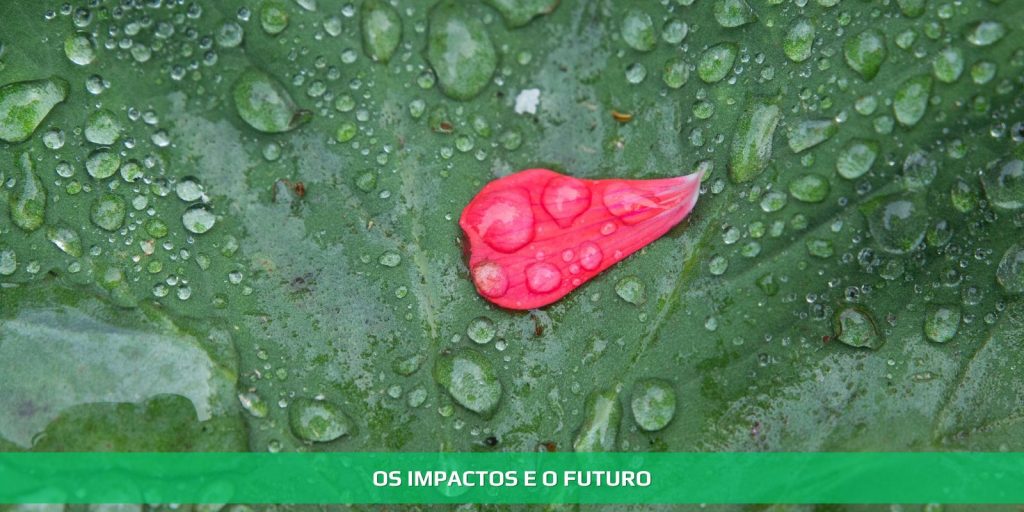 Os impactos e o futuro