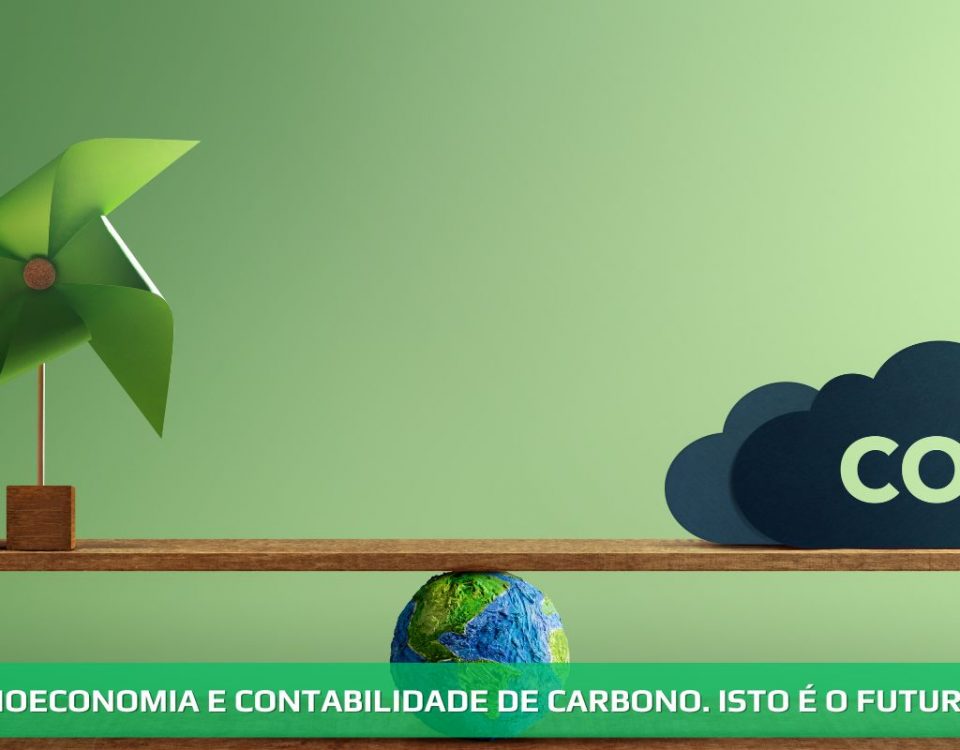 Economia e contabilidade de carbono. Isto é o futuro