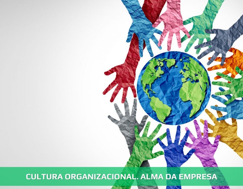 Cultura organizacional. Alma da empresa