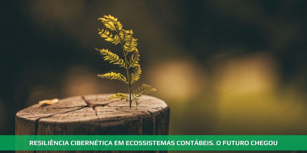Resiliência cibernética em ecossistemas contábeis. O futuro chegou