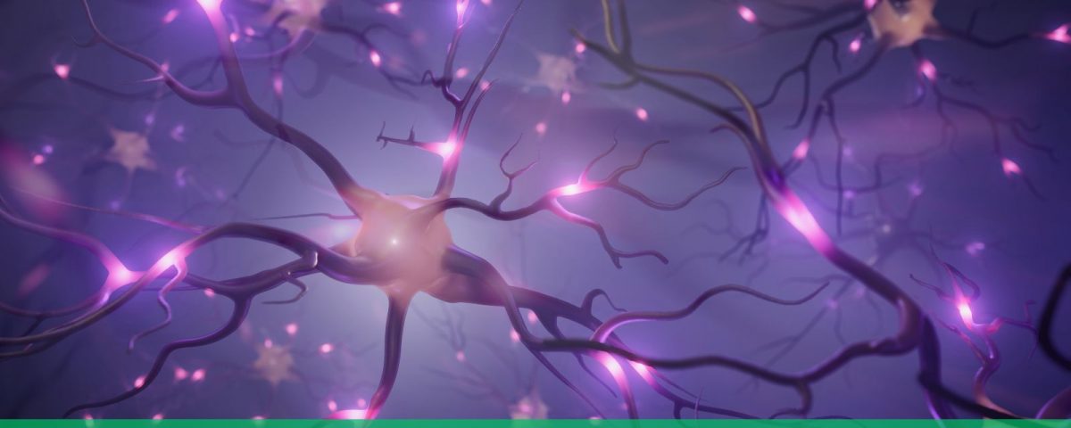 Neurociência comportamental e os investimentos
