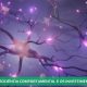 Neurociência comportamental e os investimentos