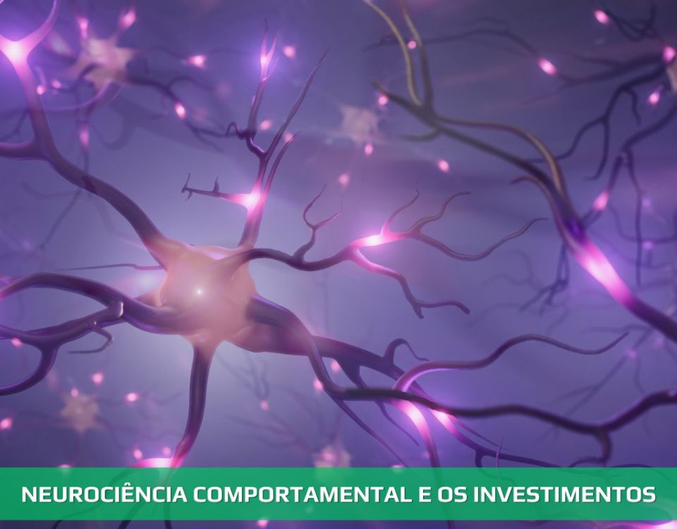 Neurociência comportamental e os investimentos