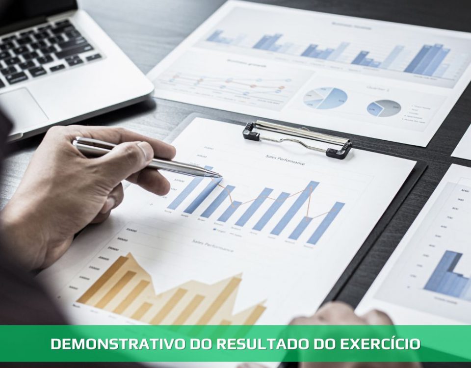 Demonstrativo do Resultado do Exercício