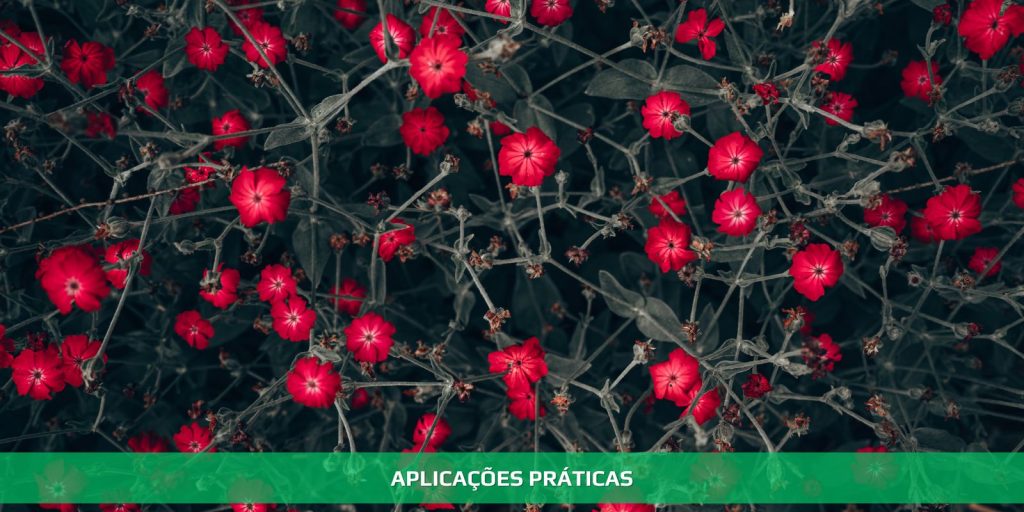 Aplicações práticas