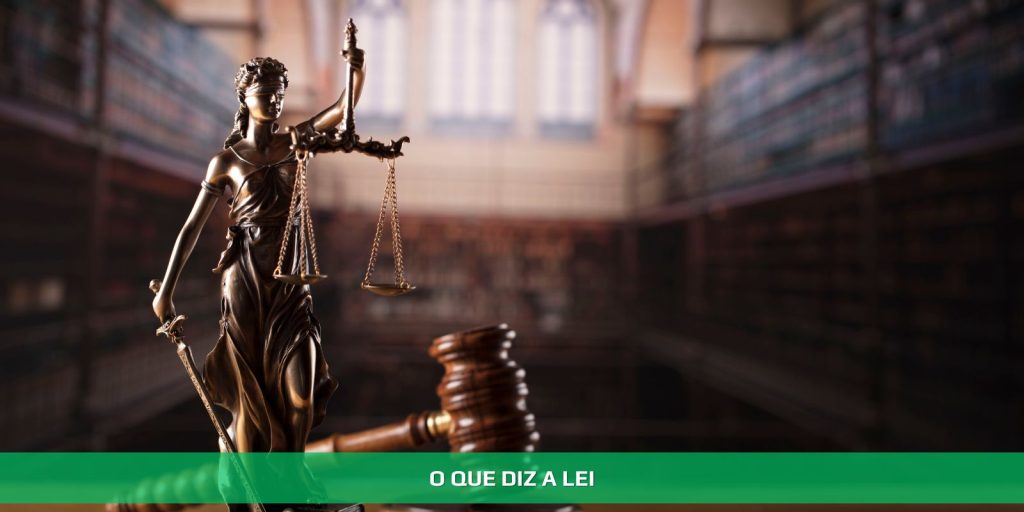 O que diz a lei