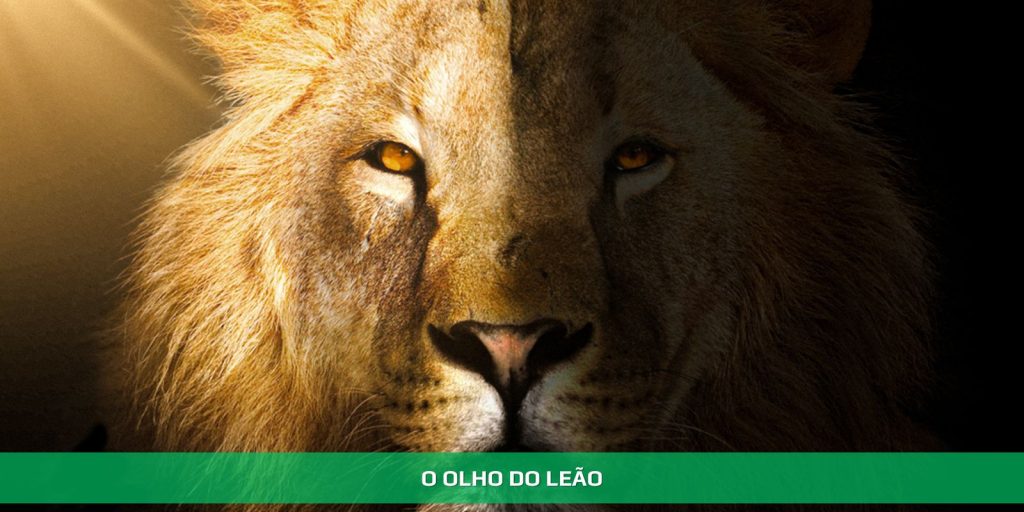 O olho do leão