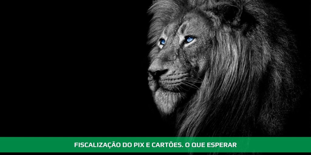 Fiscalização do pix e cartões. O que esperar